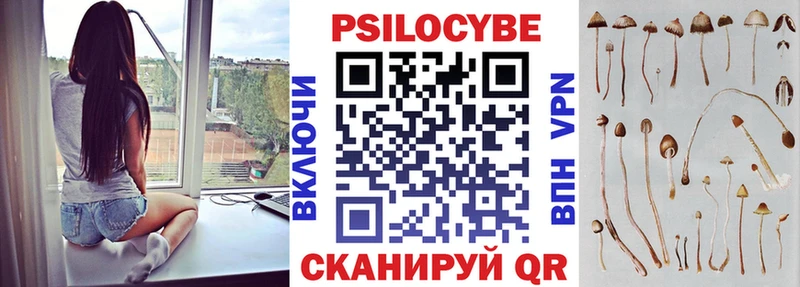 Псилоцибиновые грибы Cubensis  Купить закладки  Калининск 